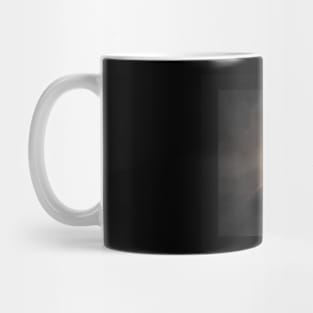 light in night. BLACK Mug